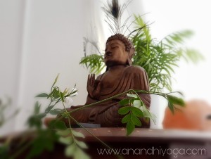 budha1